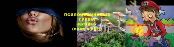 спиды Баксан
