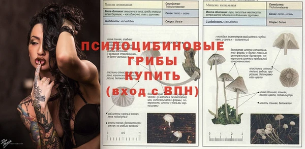 спиды Баксан